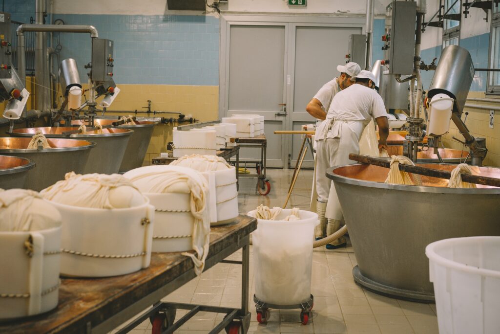 Two people making cheese at a factory in Florence